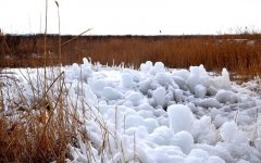 辽宁：吸引国内外首店落地打造沈阳冰雪装备等首发项目
