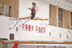 全国体操锦标赛暨全运会资格赛 刘洋和杨凡予微单项摘金