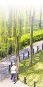 奔跑在春风里——陕西群众跑步运动扫描