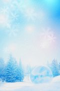国际冰雪产业专家考察廊坊 共探冰雪产业合作新机遇
