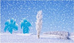 冰雪运动的“南拓”实践！第二届广东省 “龙华卡鲁杯” 滑雪赛燃情开赛