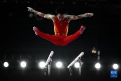 这项全国体操赛广西小将已获4金2银！
