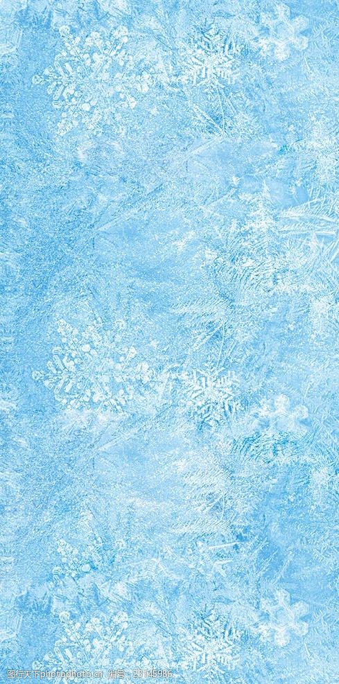 暑假在即 冰雪运动培训市场升温