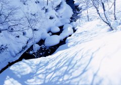 热雪筑梦·行将启航冰雪主题夏令营第三期火热报名啦！